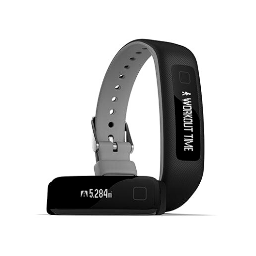 iFit Vue