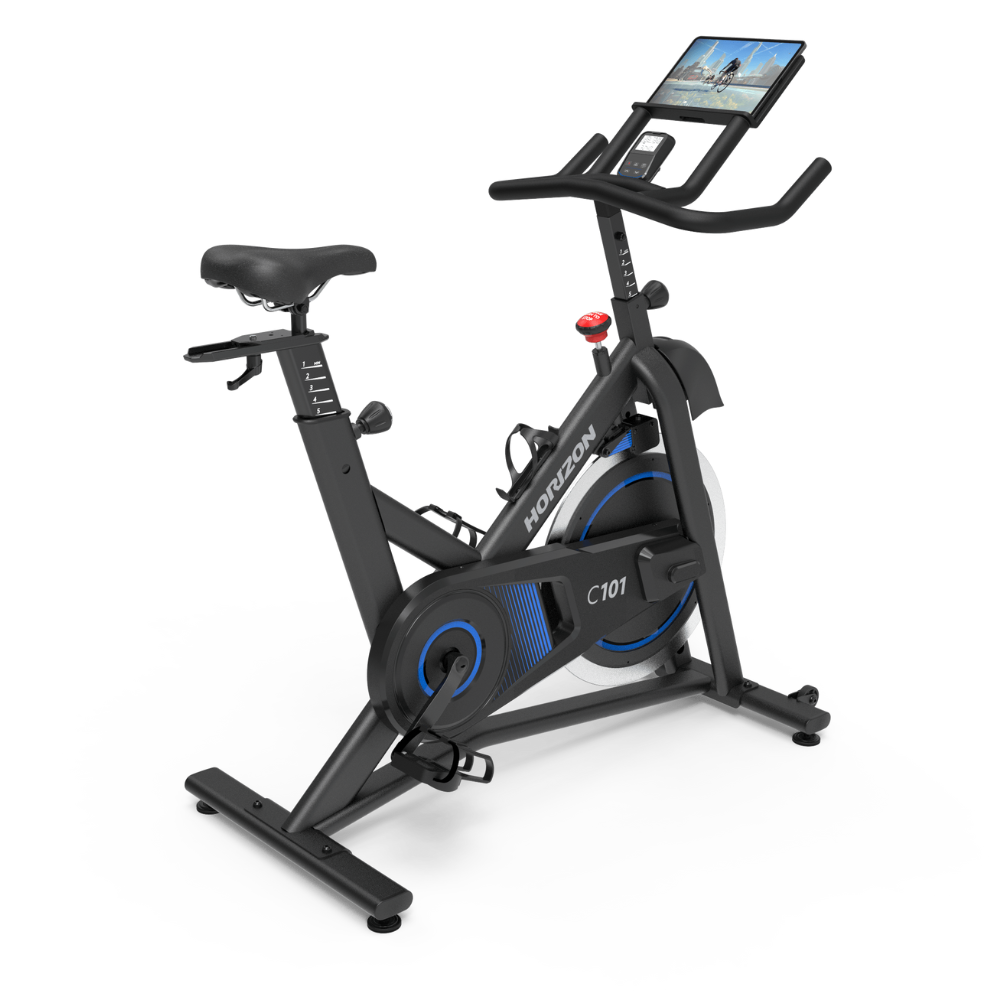 Horizon C101 Indoor Cycle