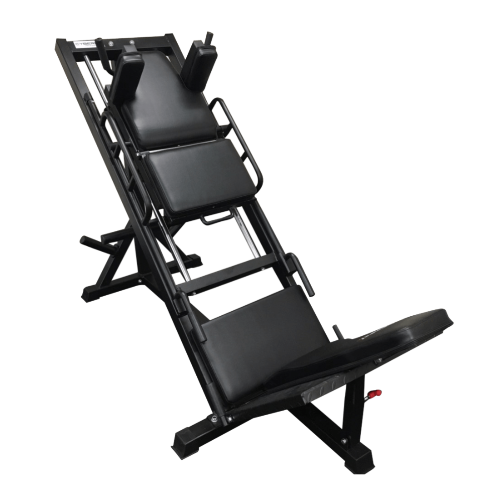 Leg Press Hack Squat