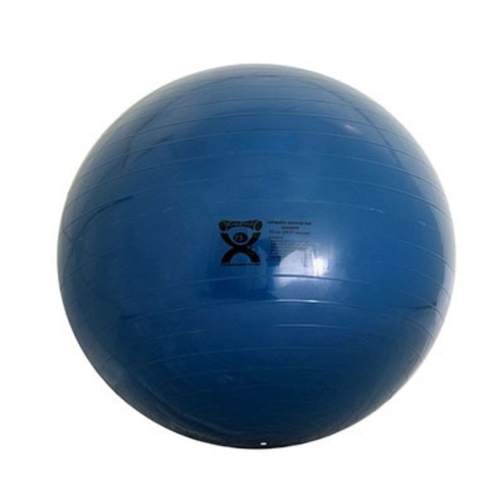 ABS Exercise Gym Ball