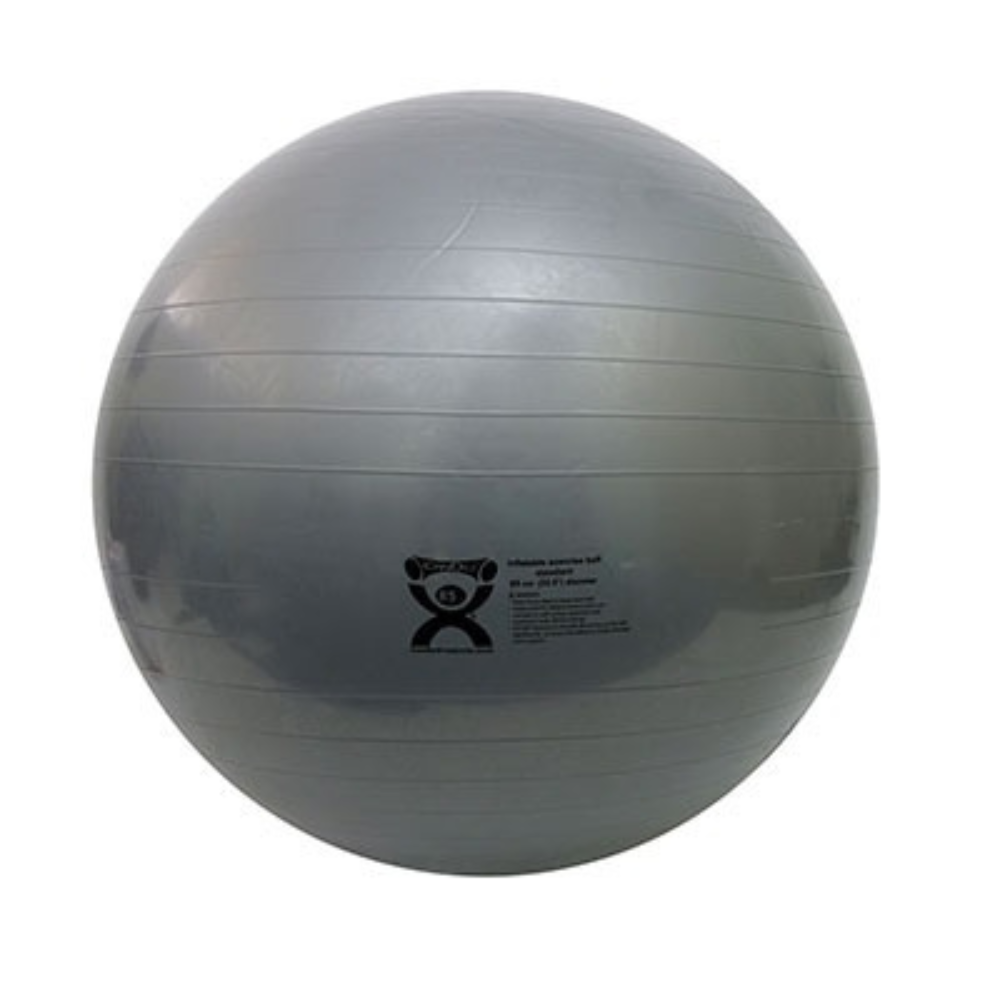 ABS Exercise Gym Ball