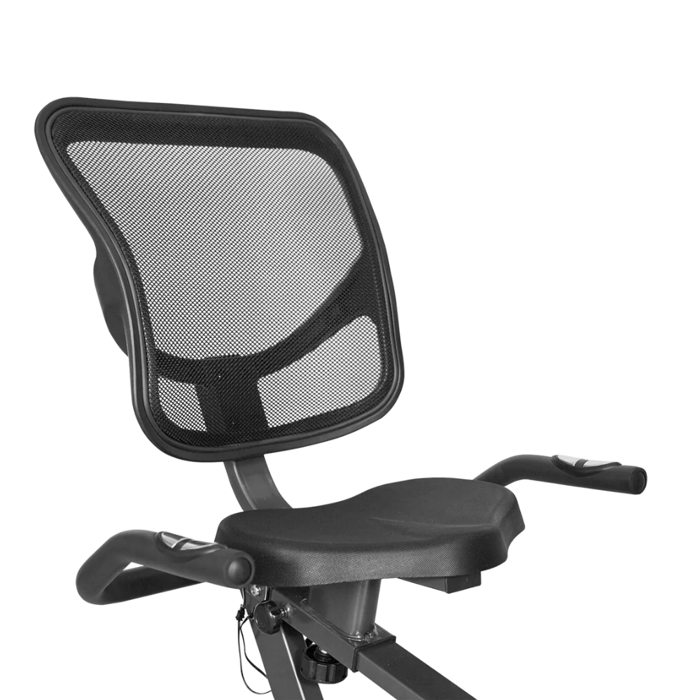 Lifespan RC-81 Recumbent Bike