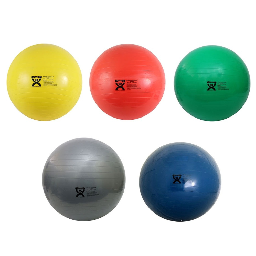 ABS Exercise Gym Ball