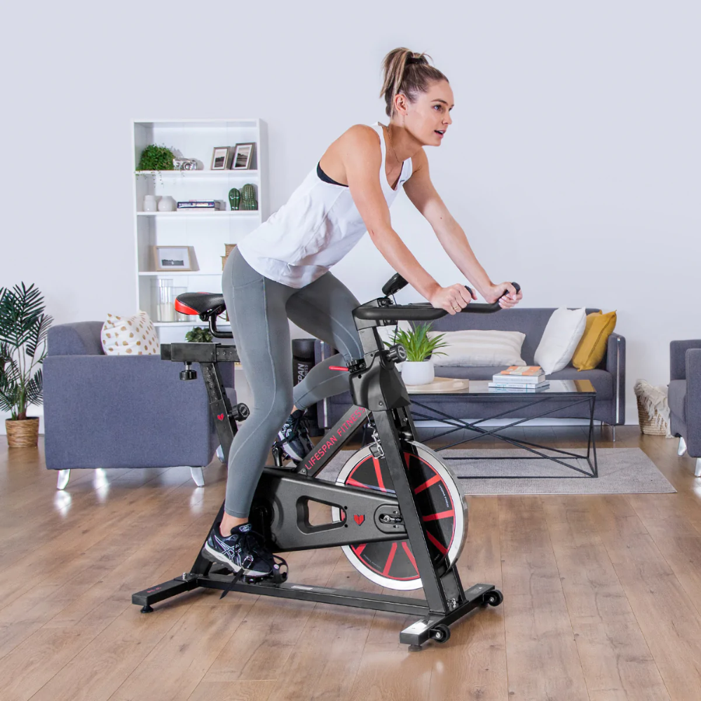 Lifespan SP-310 (M2) SPIN BIKE