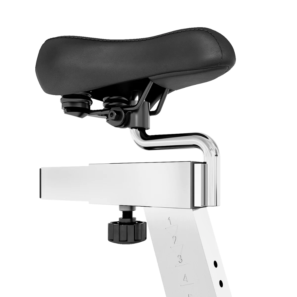 Lifespan SM-410 Magnetic Spin Bike