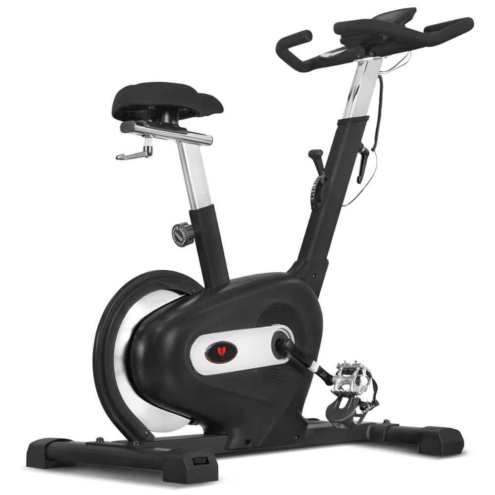 Lifespan Fitness SM-100 Magnetic Spin Bike