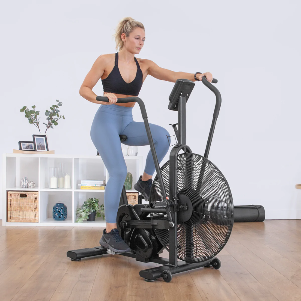 Lifespan EXC-10H Commercial Air Bike