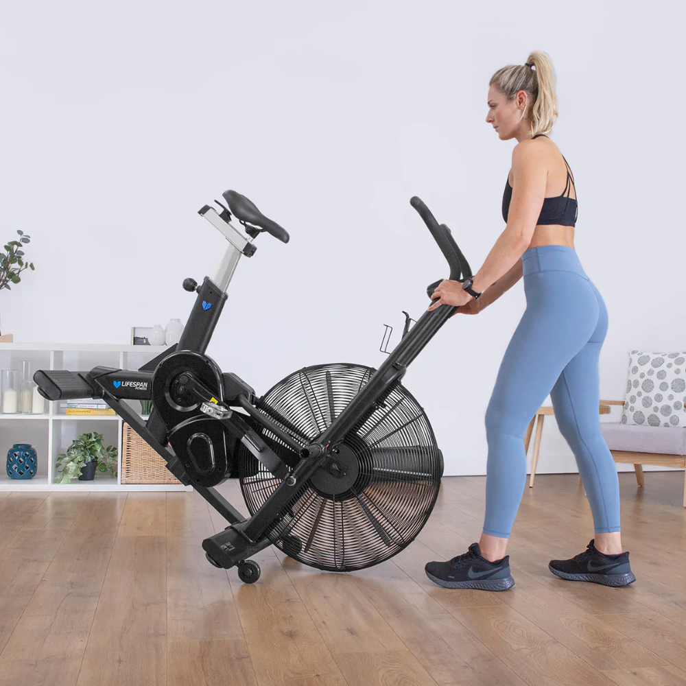 Lifespan EXC-10H Commercial Air Bike