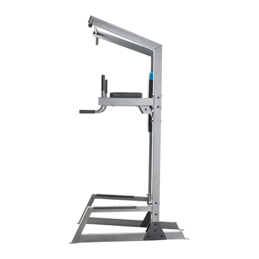 Proform Carbon Strength Power Tower