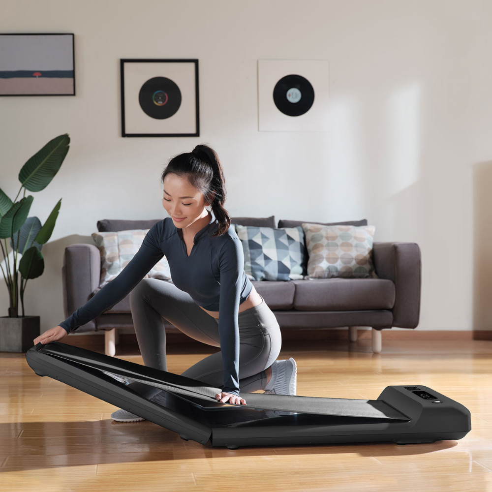 Lifespan Fitness WalkingPad™ M2 Treadmill