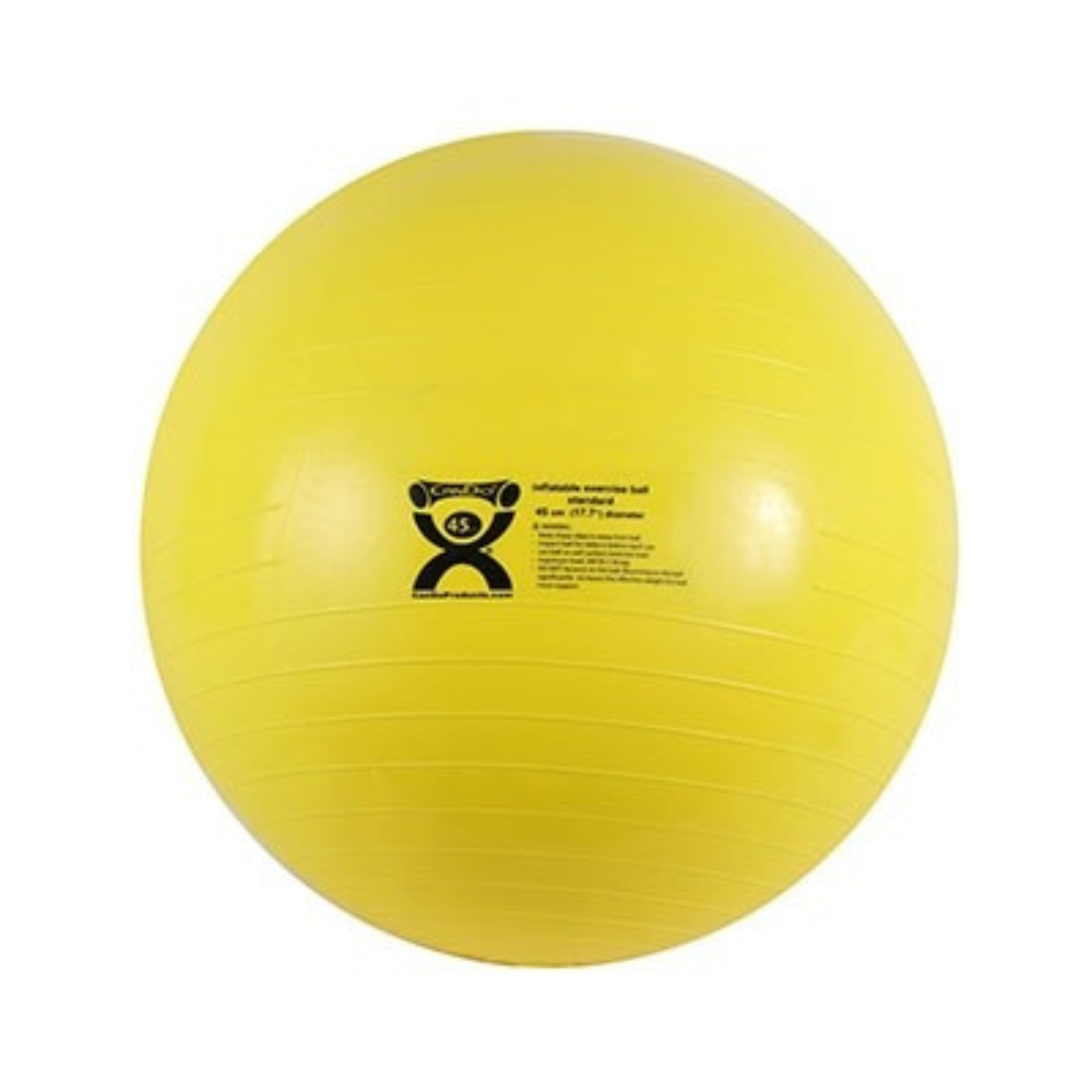 ABS Exercise Gym Ball